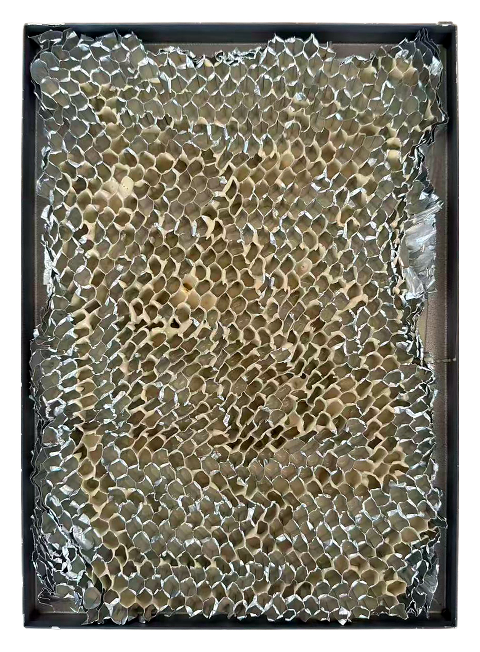 Common honeycomb aluminum panel cross-section sample